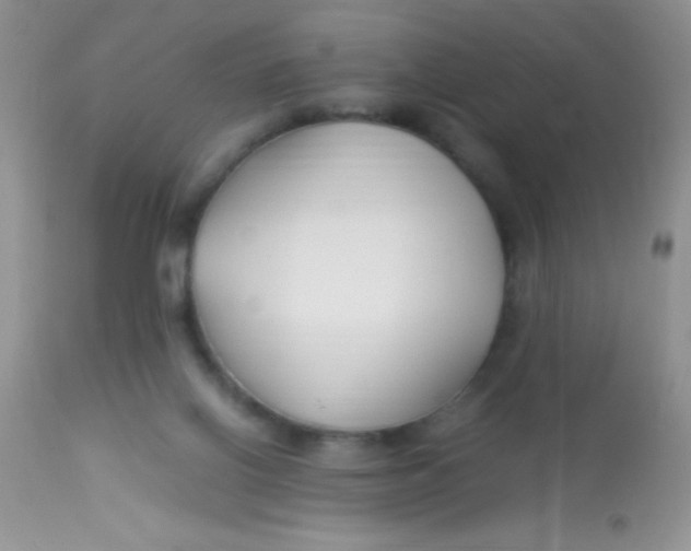X0000112900070200909181946