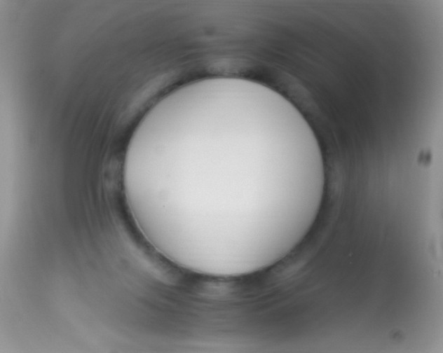 X0000112900071200909181946