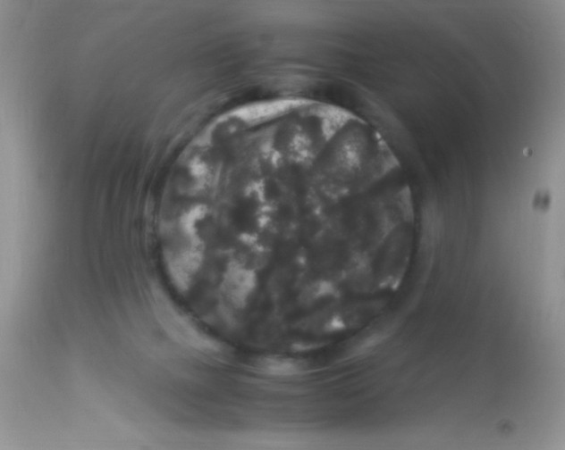 X0000112900073200909181946