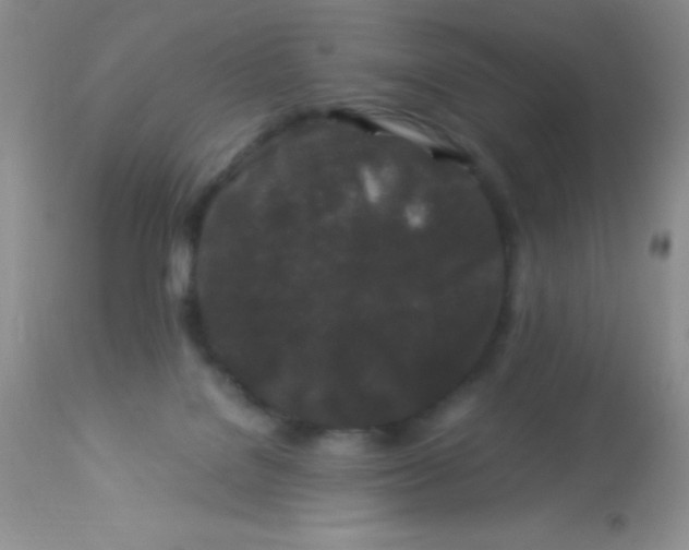 X0000112900076200909181946