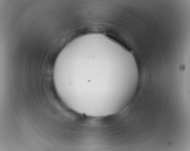 X0000112900078200909181946