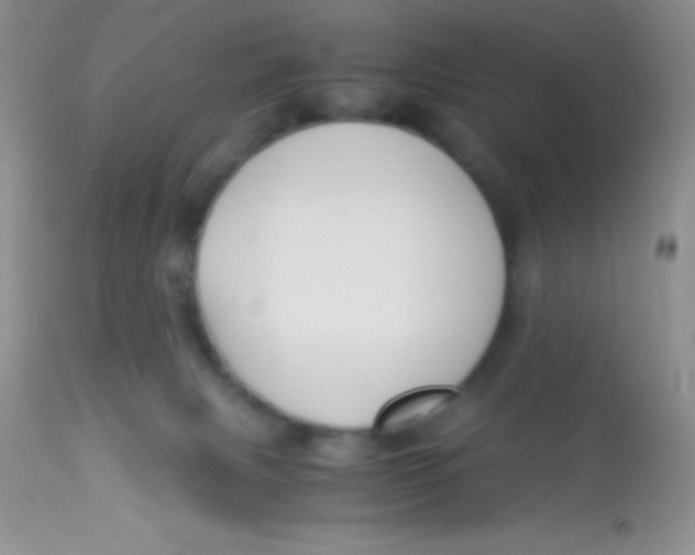 X0000112900079200909181946
