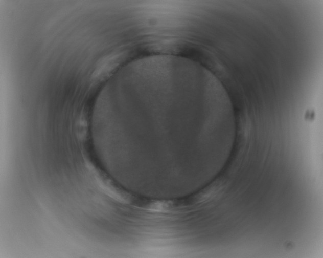 X0000112900080200909181946