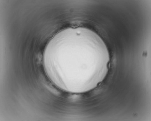 X0000112900081200909181946