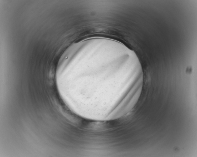 X0000112900082200909181946