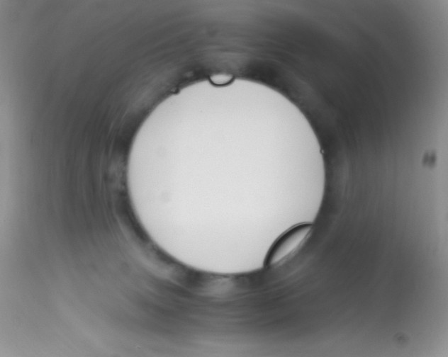 X0000112900083200909181946