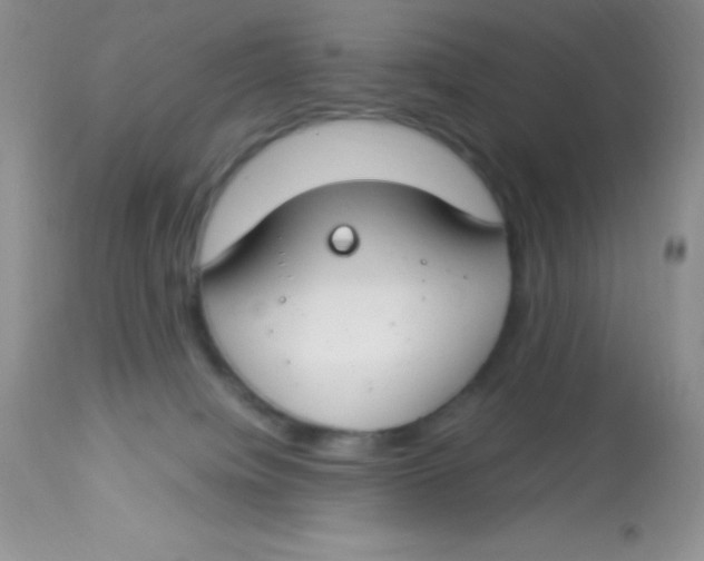 X0000112900084200909181946