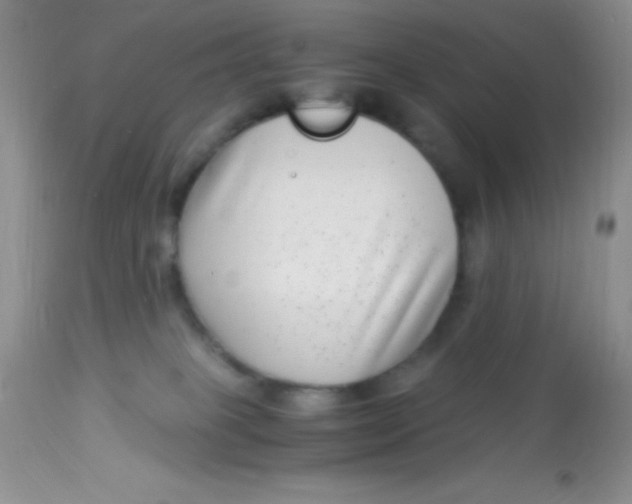 X0000112900085200909181946