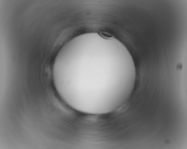 X0000112900086200909181946