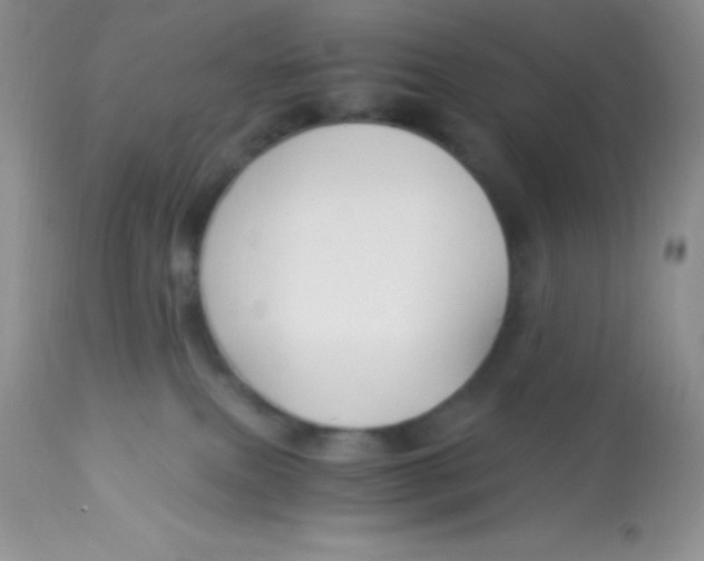 X0000112900087200909181946