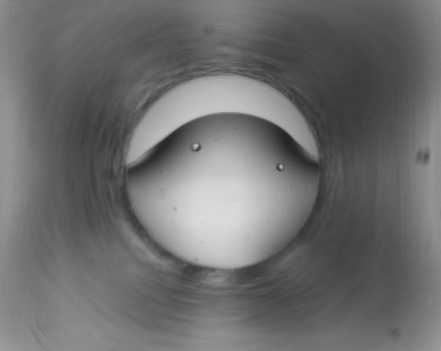 X0000112900088200909181946