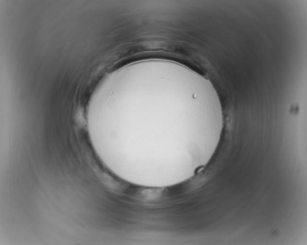 X0000112900089200909181946