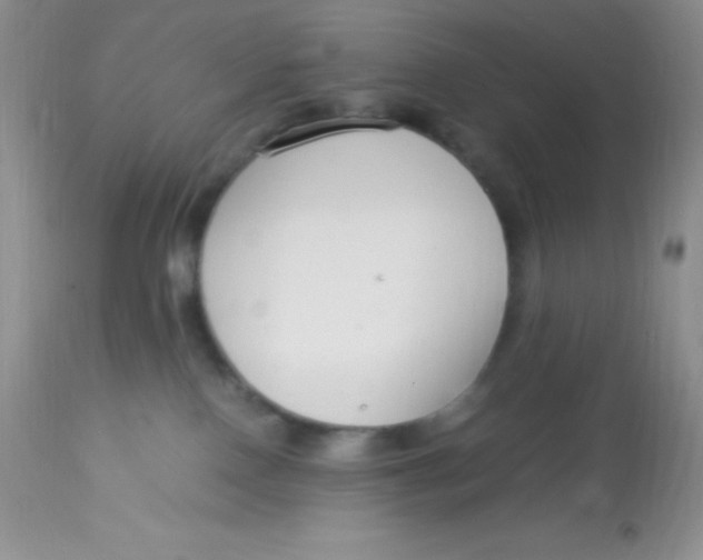 X0000112900090200909181946