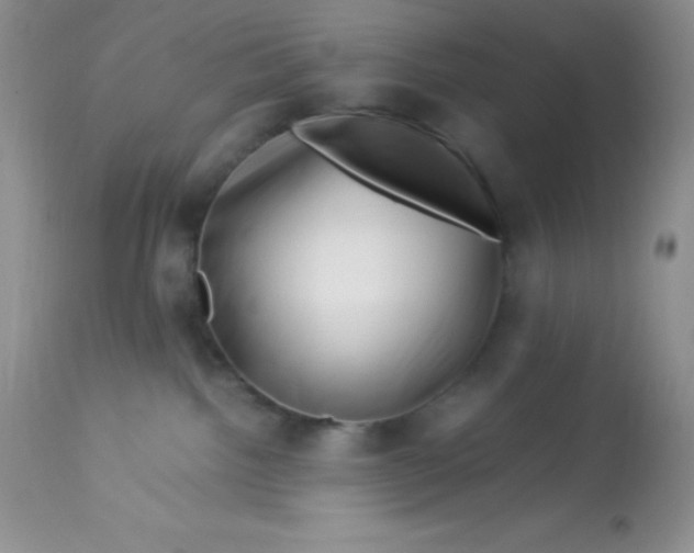 X0000112900092200909181946