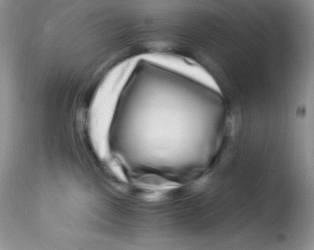 X0000112900093200909181946