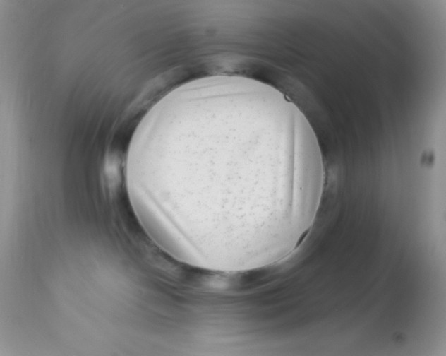 X0000112900094200909181946