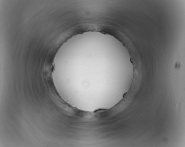X0000112900096200909181946