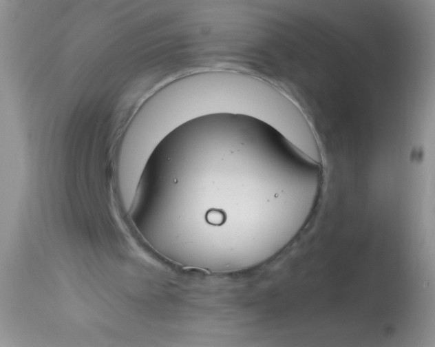 X0000112900097200909181945