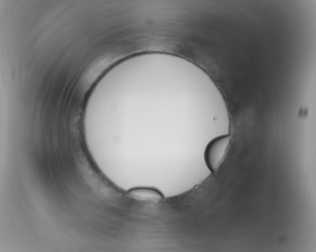 X0000112900098200909181945