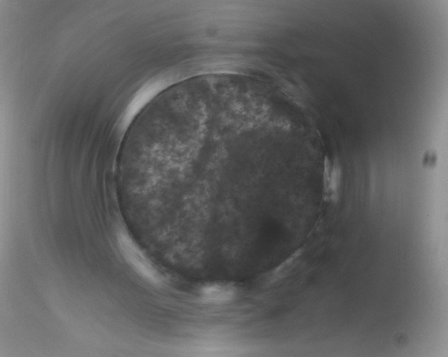 X0000112900099200909181945