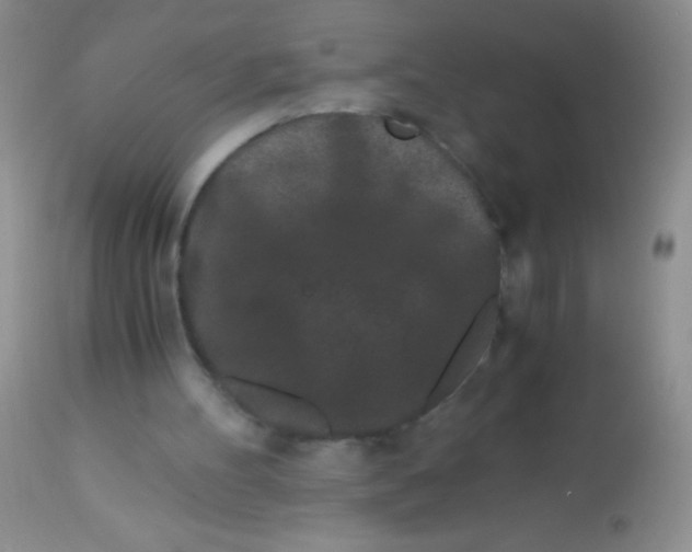 X0000112900100200909181945