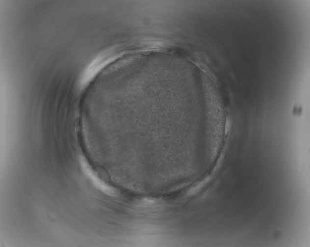 X0000112900101200909181945