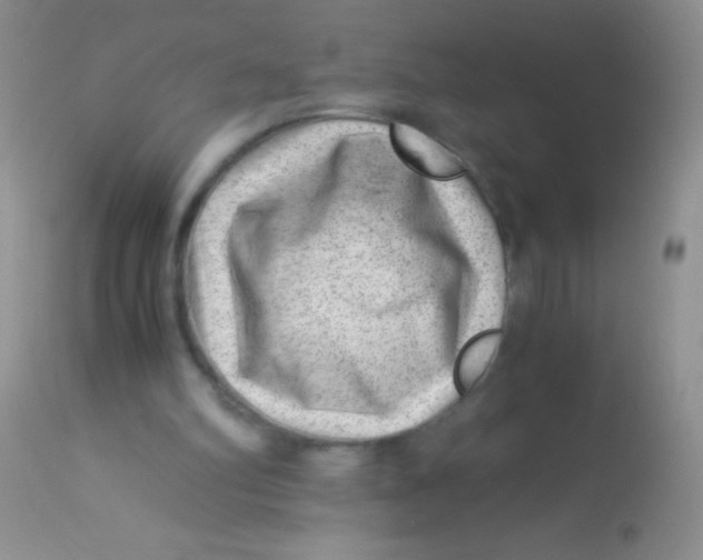 X0000112900102200909181945
