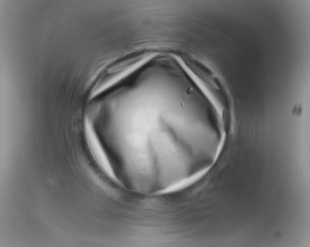 X0000112900105200909181945