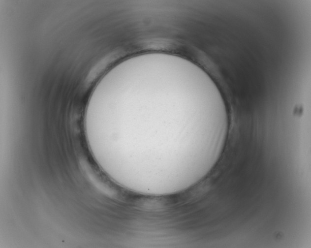 X0000112900106200909181945