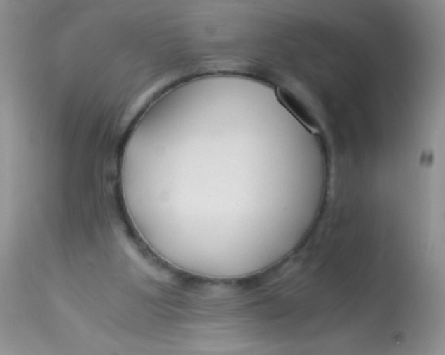 X0000112900107200909181945