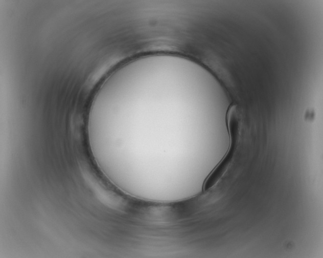 X0000112900108200909181945