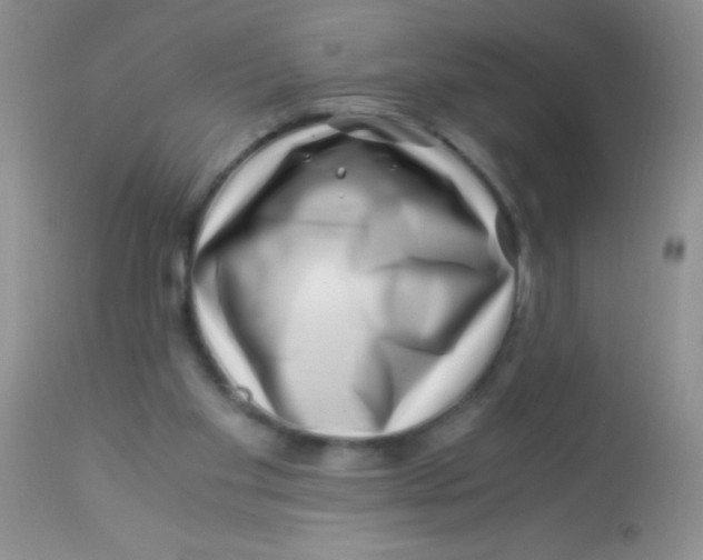 X0000112900109200909181945