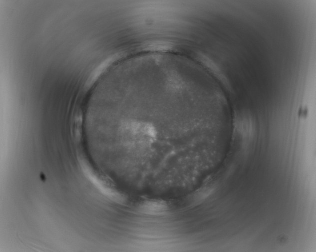 X0000112900110200909181945