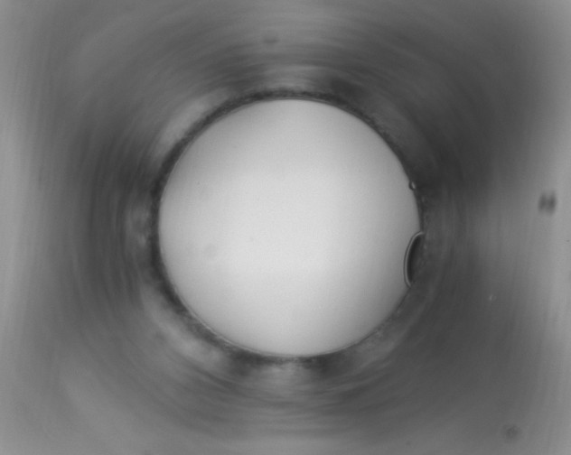 X0000112900112200909181945