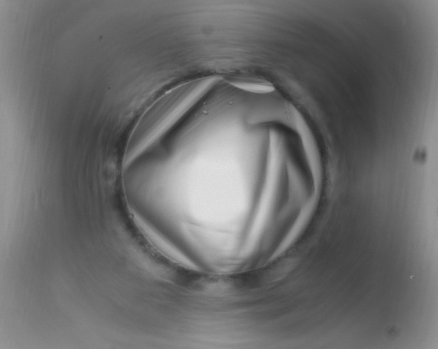 X0000112900113200909181945