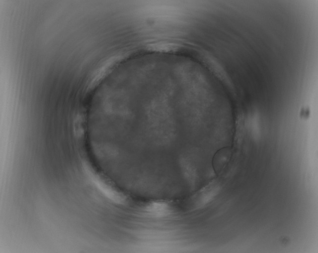 X0000112900114200909181945