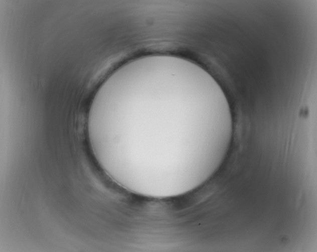 X0000112900115200909181945