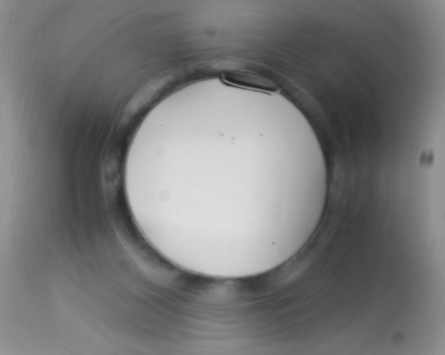 X0000112900116200909181945
