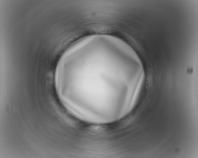 X0000112900117200909181945
