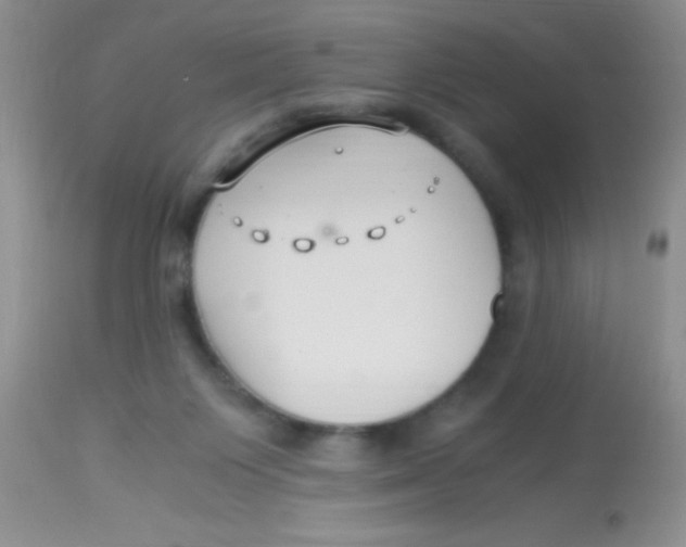 X0000112900119200909181945