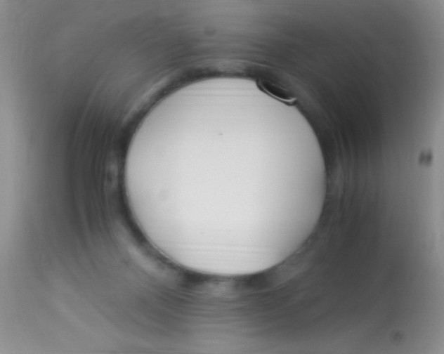 X0000112900120200909181945