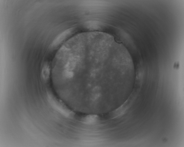 X0000112900124200909181945