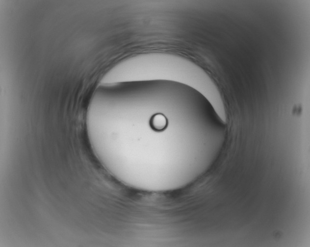 X0000112900125200909181945