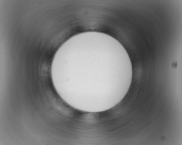 X0000112900126200909181945