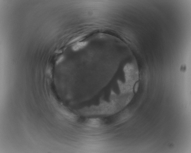X0000112900127200909181945