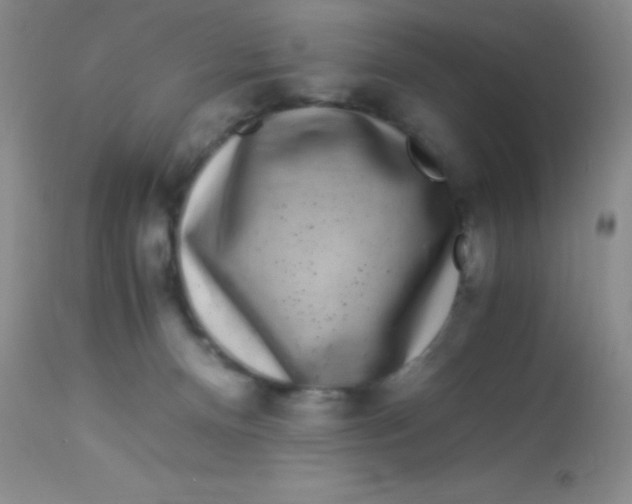 X0000112900128200909181945