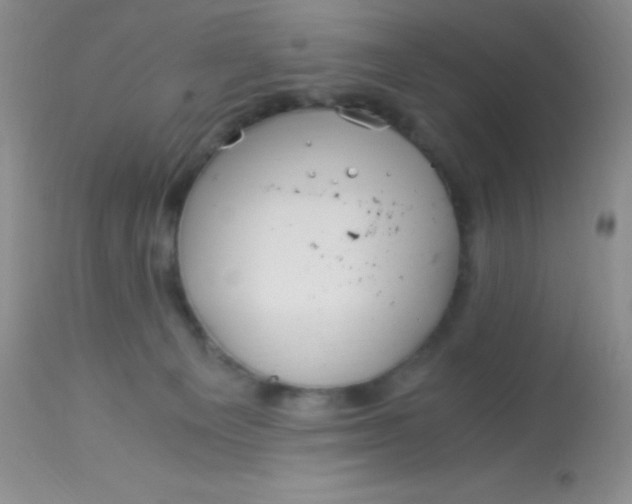 X0000112900129200909181945