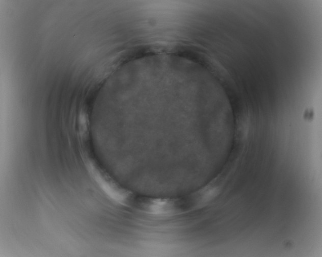 X0000112900130200909181945