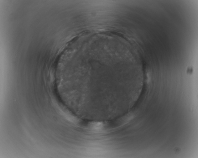 X0000112900131200909181945