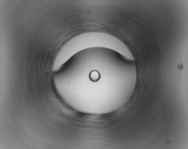 X0000112900132200909181945